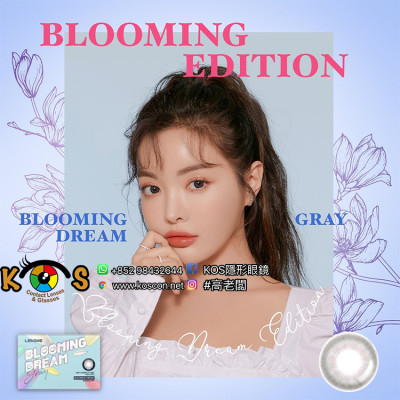 Blooming Dream Gray 블루밍드림 그레이(月拋)
